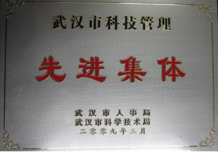 q2009年武汉市科技管理先进集.jpg